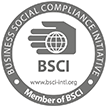 bsci.png